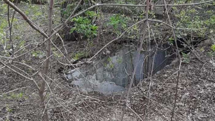 Позиция на Сдружение в обществена полза „Еко парк Галата“